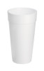 Dart 20J16 Dart Insulated Foam Drinking Cups 117165