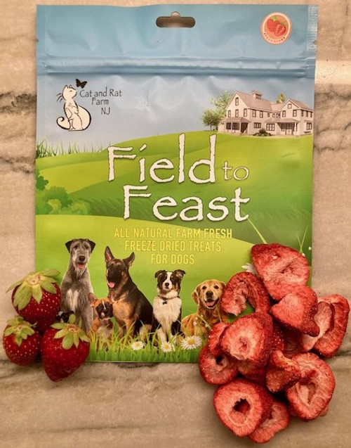 Freeze Dried Strawberry Treats For Dogs