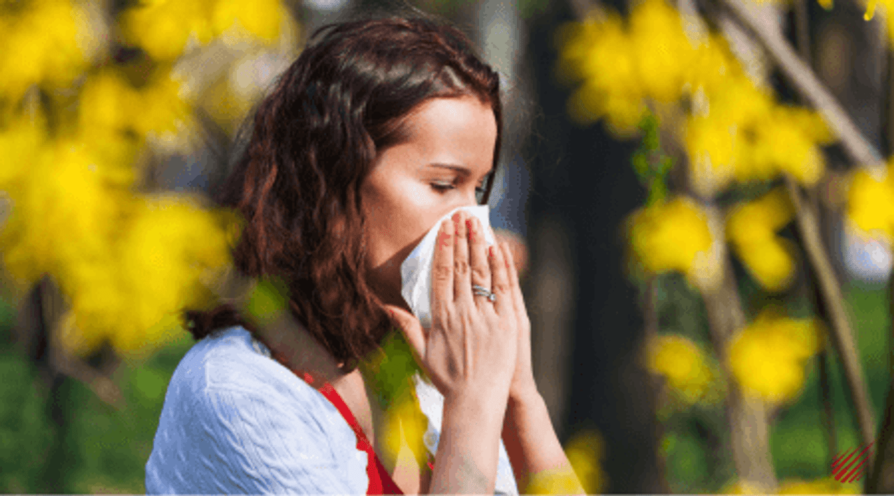 Allergy Medications Compared Claritin (Loratadine) vs Zyrtec