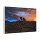 Canvas Wall Art - Joshua Tree Monsoon Storm Sunset in the Mojave Desert near Las Vegas, Nevada