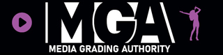VGA Logo