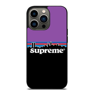 PATAGONIA iPhone 13 Pro Case