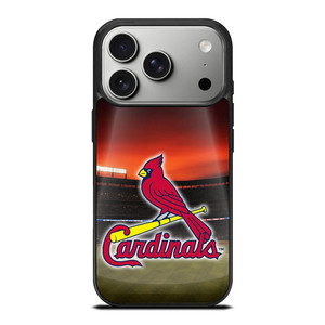 ARIZONA CARDINALS 2 iPhone 17 Pro Case