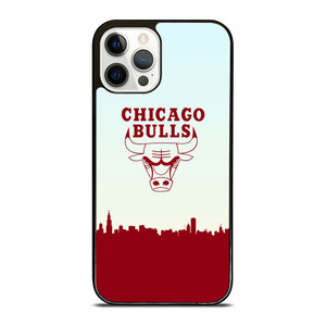 CHICAGO BULLS NBA 2 iPhone 12 Pro Case