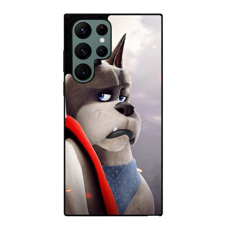 LEAGUE OF SUPERPETS MOVIE Samsung Galaxy S22 Ultra Case