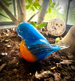 Handblown glass Eastern Bluebird figurine, bird sculpture, glass bluebird, made by Artisan Chris Sherwin in his Vermont glassblowing studio. Looking Left. Approx 3" x 4"