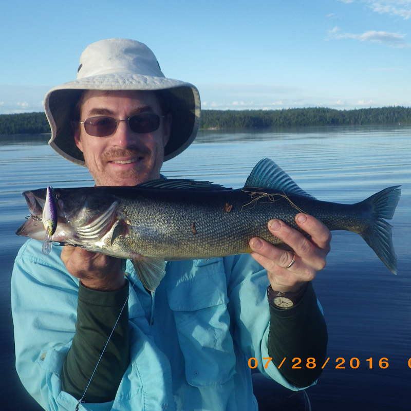 chris-walleye-ogascanan-2016-bc-web.jpg