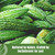 Bitter Melon (Karela) Powder (Momordica Charantia ) – Non GMO  – Vegan – (454 Gms – 1LBS)