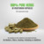 Gurmar Capsules – Gymnema Sylvestre - 25% Gymnemic Acid - Extract Ratio 7:1 - 90 Vege Capsules - 800 mg each