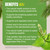 Tulsi Capsules – Ocimum Sanctum - 2% ursolic acid - Extract Ratio 10:1 - 60 Vege Capsules - 750 mg each