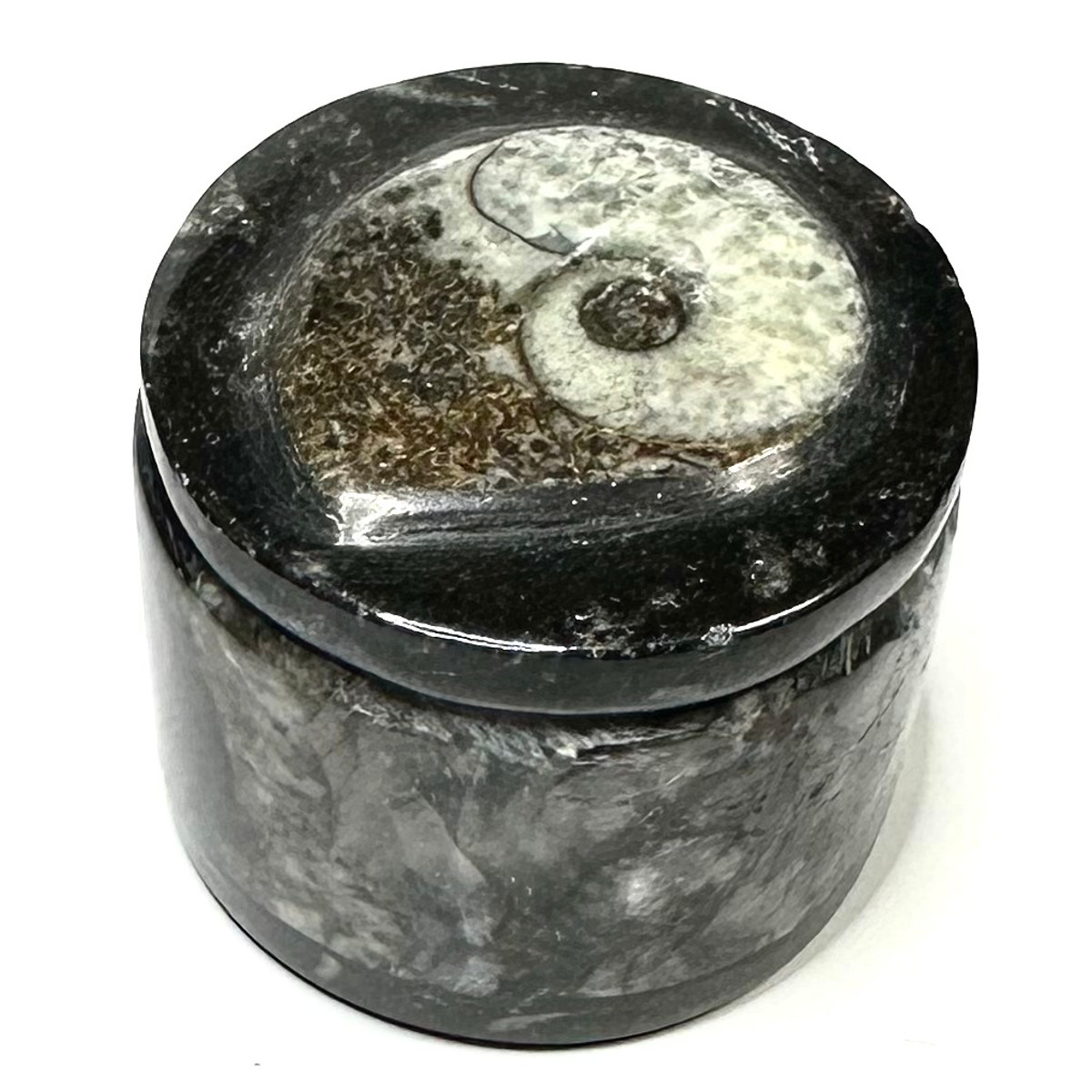 One of a Kind Orthoceras Carved Stone Jar-1 1/2 x 1 3/4"-NC5656 (NC5656)