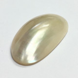 Domed Shell Cabochon 12 x 22mm