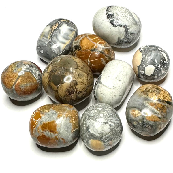 One of a Kind Lot of Tumbled and Polished Maligano Jasper Pocket Stones-19-27mm