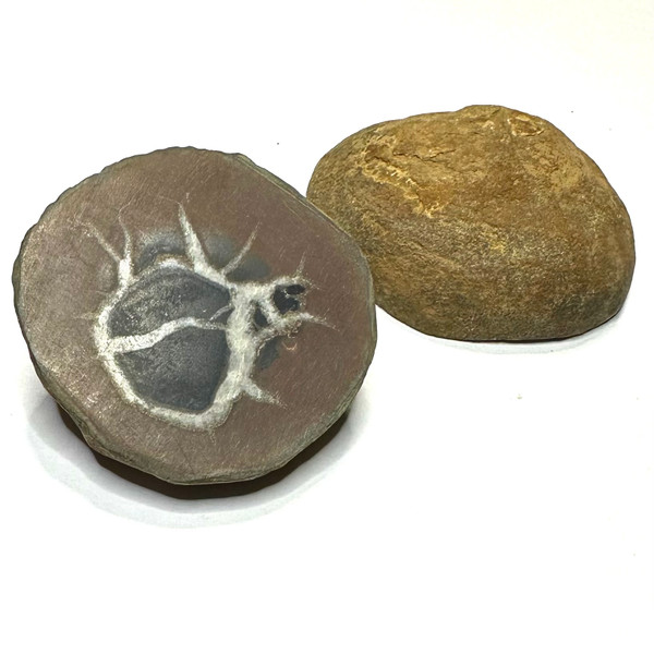 One of a Kind Septarian Nodule Geode "Dragonstone" Pair-37mm (NC5464)