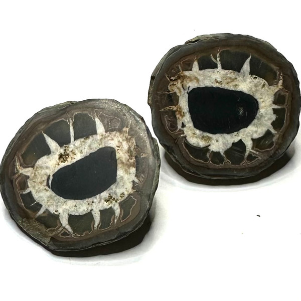 One of a Kind Septarian Nodule Geode "Dragonstone" Pair-38mm-NC5467 