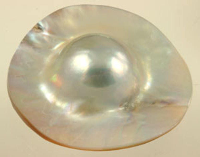 Mabe Shell Natural Pearl Cabochon 38mm