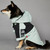 Dog Punching Jacket Pet Clothes Personalized Waterproof Fashion Jacket Windproof Waterproof North Face Raincoat Protective Coat