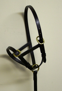 Wyvern Leather Foal Slip Wyvern Leather Foal Slip