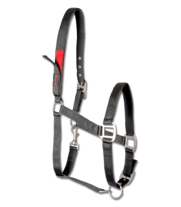 Safety halter Safety halter