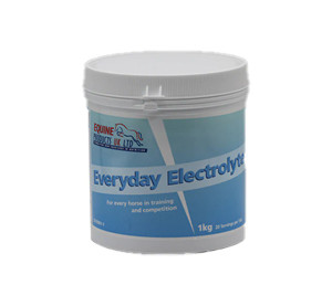 Everyday Electrolyte 1Kg