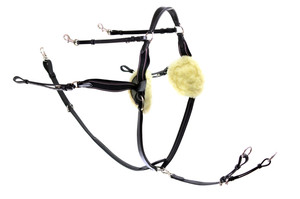5 Point Breastplate