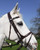 Wyvern Comfort Flash Bridle