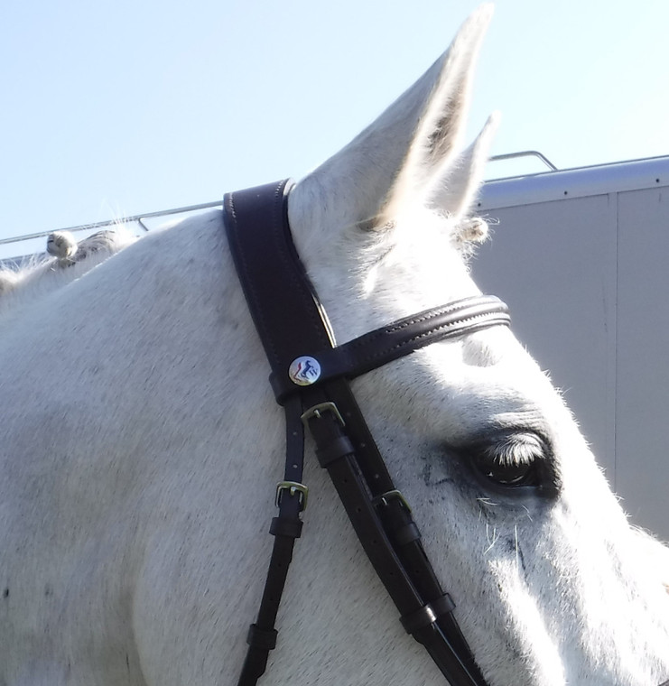 Wyvern Comfort Bridle Head