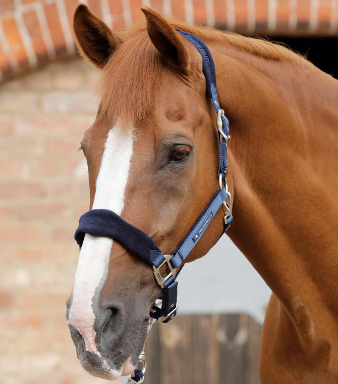 Premier Equine Fleece Padded Horse Head Collar