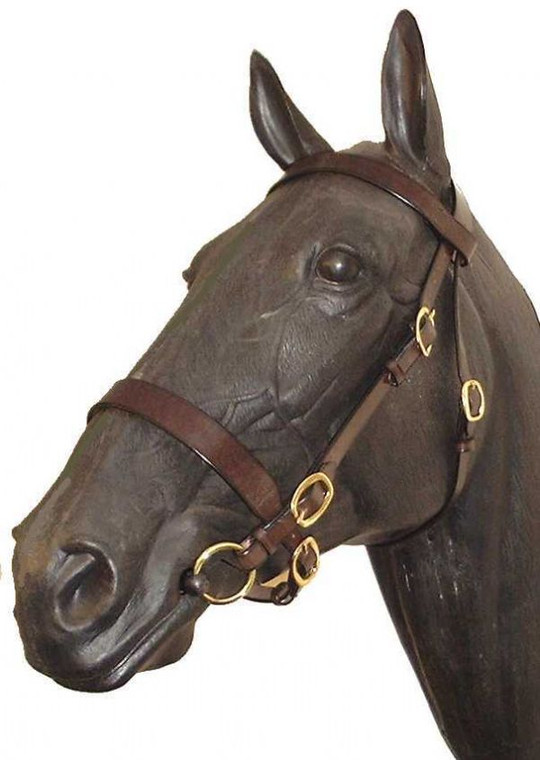Wyvern Heavy In-Hand Bridle with 3/4" Cheeks