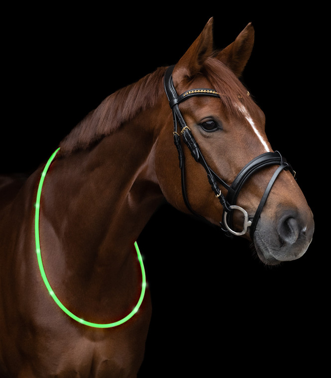 LED Illuminated Neck Ring