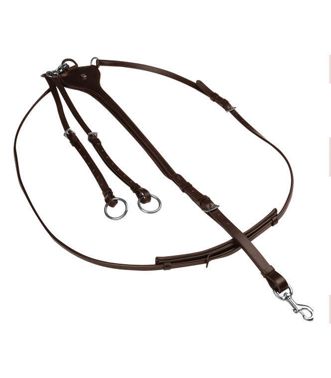 Waldhausen X-Line Martingale, Professional
