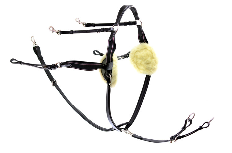 5 Point Breastplate