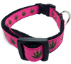 Pink Mary Jane dog collar, adjustable