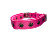 Pink Mary Jane dog collar, adjustable