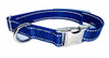 blue reflective collar