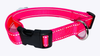 Reflective Nylon Dog collar, One inch width, adjustable