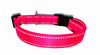 hot pink reflective collar