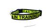 In Training dog collar