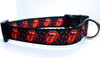 musical dog collar