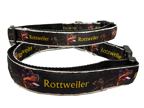 Rottweiler dog collar