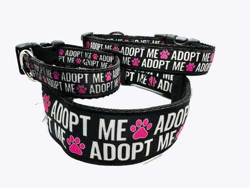 Adopt me dog collar