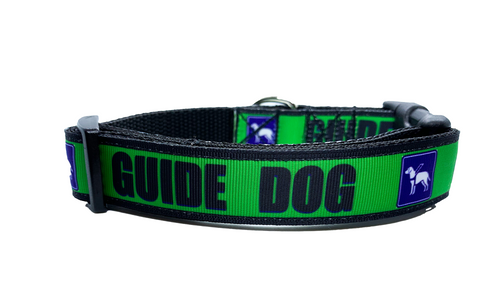 Guide Dog collar