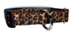 Leopard print dog collar, adjustable