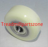 Elliptical Ramp Roller Part Number 306984