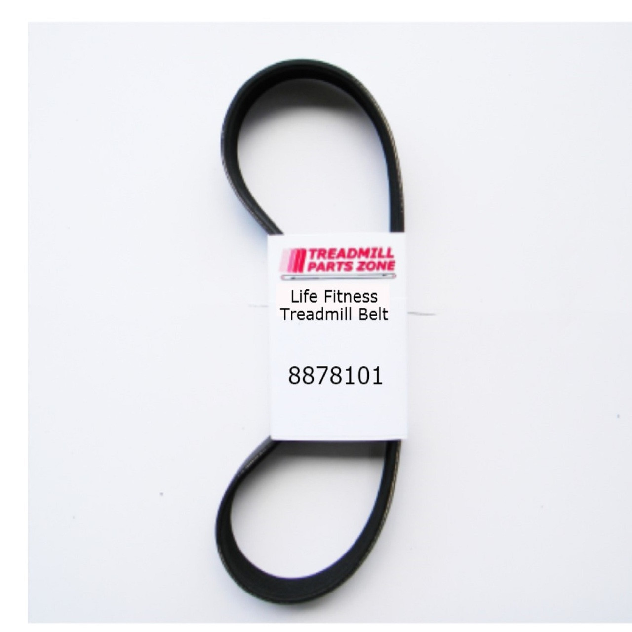 Life Fitness Treadmill Model FTR-0000-01 Drive Belt Part 8878101