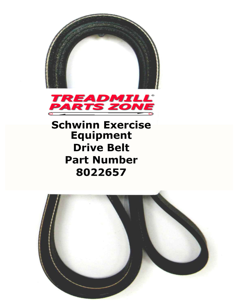 Schwinn Recumbent Bike Drive Pulley Belt Part Number 8022657