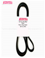 Exercise Equipment Drive  Belt Part Number 6PJ1346MM