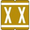 GBS/VRE Alpha Labels, 8848-Series, 1 5/16 H x 1 1/4 W, Letter X, Gold, 200/Pack, 61344