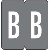 GBS Alpha Labels, 8850-Series, 1 5/16 H x 1 1/4 W, Letter B, Gray, 550/Roll, 91322