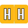 Amerifile ARAM-Series Label, Letter H